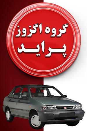 گروه سواری پراید